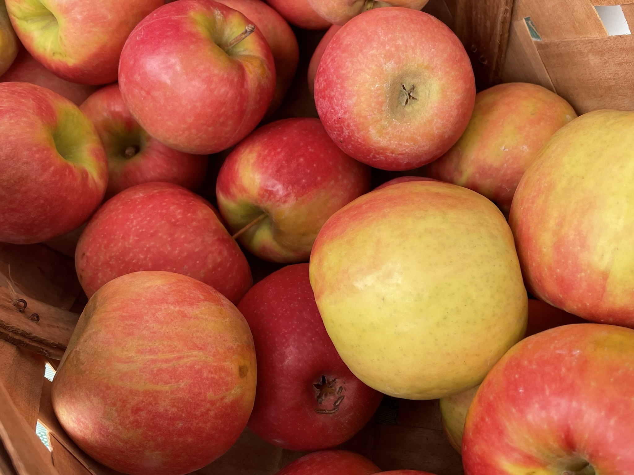 Fruity Smoothie with Protein and Healthy Fat